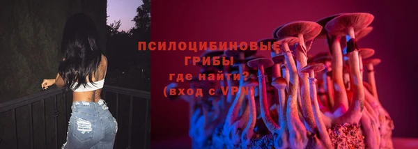 таблы Надым