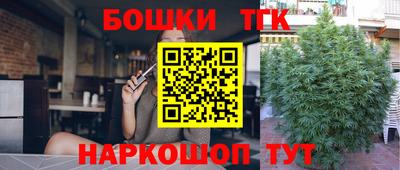 индика Канаш