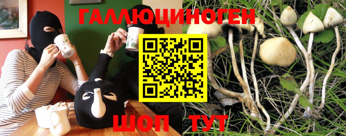 Псилоцибиновые грибы MAGIC MUSHROOMS Тула