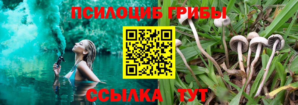Галлюциногенные грибы прущие грибы  Вход с VPN  Тула 